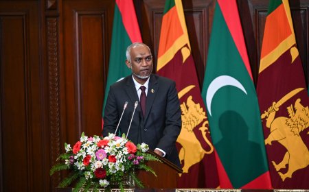 ސްރީލަންކާގެ ރައީސާއެކު ކުރިއަށްގެންދެވި ރަސްމީ މަޝްވަރާތަކަށްފަހު ރައީސް ނޫސްބަޔާން އިއްވަވައިފި