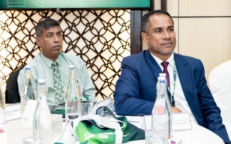ޑީޖޭއޭގެ އިސް ދެ ބޭފުޅަކު ސަސްޕެންޑް ކޮށްފި