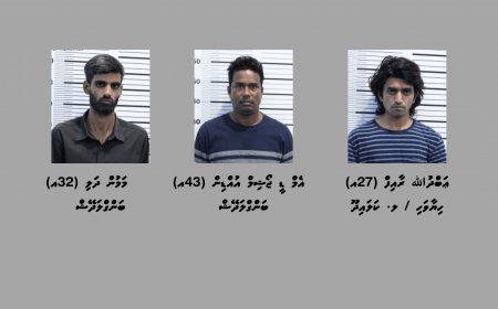 މާލެ ސަރަހައްދުގައި ހިންގި ބޮޑު އޮޕަރޭޝަނެއްގައި 21 ކިލޯގެ މަސްތުވާތަކެއްޗާއެކު ތިން މީހަކު ހައްޔަރުކޮށްފި