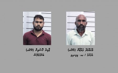 ކިލޯއަކަށްވުރެ ގިނަ މަސްތުވާތަކެއްޗާއެކު މާލެއިން ދެ މީހަކު ހައްޔަރުކޮށްފި