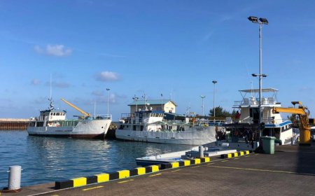 ކޫއްޑޫ މަސްބަނދަރު ބޮޑުކުރުމުގެ މަޝްރޫޢުގެ 56 އިންސައްތަ ނިމިއްޖެ: އަންނަ އަހަރުގެ އޭޕްރީލަށް ނިންމާލެވޭނެ