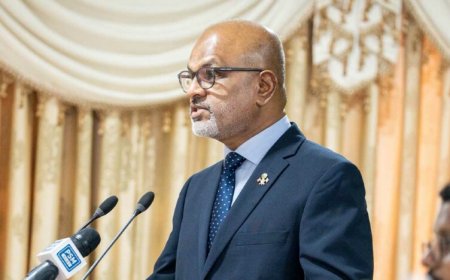 މަޖިލީހުގެ ނައިބު ރައީސްކަމުން ނާޒިމު ވަކިކުރުމުގެ މަސައްކަތް ޕީއެންސީން ފަށައިފި