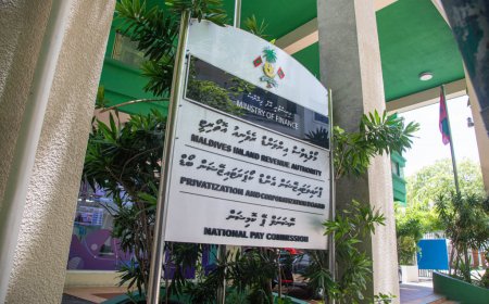ދައުލަތުގެ އާމްދަނީ 12 އިންސައްތަ އިތުރުވެއްޖެ
