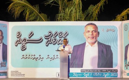 ހިތަދޫ އުތުރު ދާއިރާގެ ބައި އިލެކްޝަނަށް ޕީއެންސީގެ ކެމްޕޭން ރަސްމީކޮށް ފަށައިފި