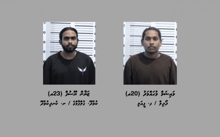 ބަނގުރާ ބޭނުންކޮށް އެ ތަކެތި ގެންގުޅޭ ކަމުގެ ތުހުމަތުގައި ހުޅުމާލެ ފޭސް 1 އިން ދެމީހަކު ހައްޔަރުކޮށްފި