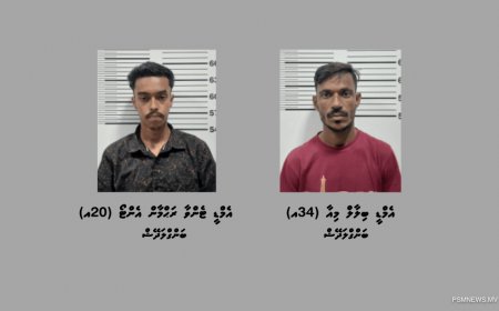 ހުޅުމާލެއިން ބަނގުރަލާއެކު ހައްޔަރުކުރި ދެ ބިދޭސީން ޑީޕޯޓްކުރުމަށް އިމިގްރޭޝަނާ ހަވާލުކޮށްފި