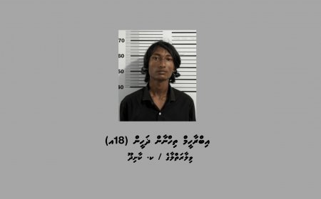 ނައިފަރަށް ބަނގުރާ އެތެރެކުރި މީހަކު ފުލުހުން ހައްޔަރުކޮށްފި