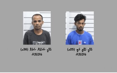 ސަފާރީއަކުން ގިނަ އަދަދެއްގެ ބަނގުރަލާއި މަސްތުވާތަކެއްޗާއެކު ދެ ބިދޭސީން ހައްޔަރުކޮށްފި