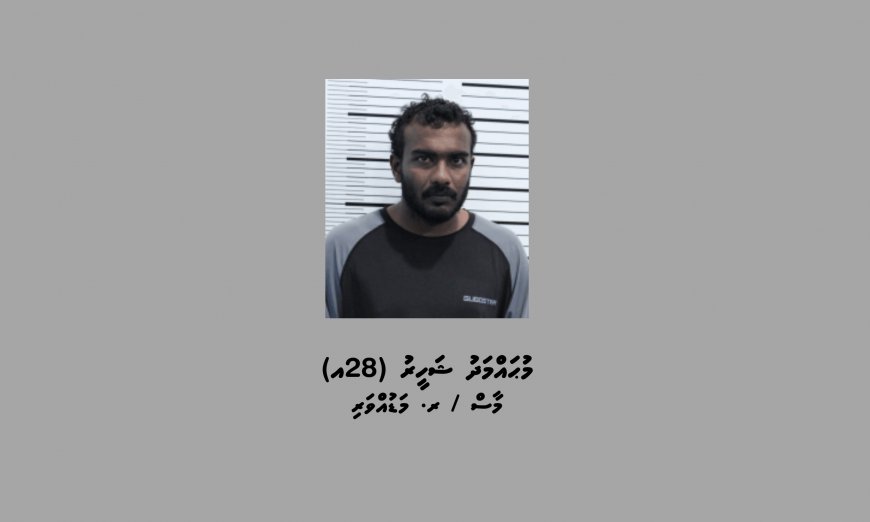 މާފުށީ ޖަލަށް ގިނަ އަދަދެއްގެ ފޯނާއި މަސްތުވާތަކެތި އެތެރެކުރަން އުޅުނު މީހަކު ހައްޔަރުކޮށްފި