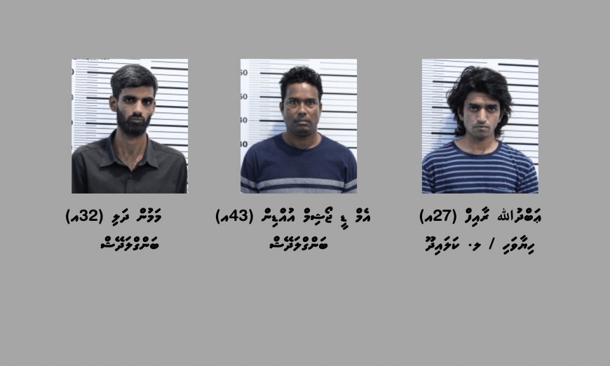 މާލެ ސަރަހައްދުގައި ހިންގި ބޮޑު އޮޕަރޭޝަނެއްގައި 21 ކިލޯގެ މަސްތުވާތަކެއްޗާއެކު ތިން މީހަކު ހައްޔަރުކޮށްފި