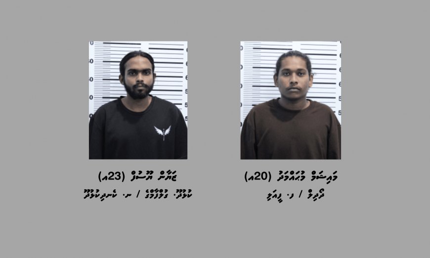 ބަނގުރާ ބޭނުންކޮށް އެ ތަކެތި ގެންގުޅޭ ކަމުގެ ތުހުމަތުގައި ހުޅުމާލެ ފޭސް 1 އިން ދެމީހަކު ހައްޔަރުކޮށްފި