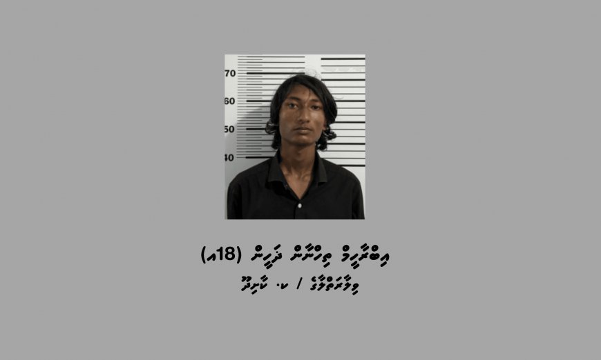 ނައިފަރަށް ބަނގުރާ އެތެރެކުރި މީހަކު ފުލުހުން ހައްޔަރުކޮށްފި