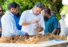 މަހެއްގެ މައްޗަށް 63 ޓަނުގެ މޫދުވިނަ ރާއްޖެއިން ބޭރަށް އެކްސްޕޯޓް ކުރޭ!