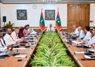ސަރުކާރުގެ މަޝްރޫޢުތައް އަވަހަށް ނިންމެވުމަށް ޚާއްޞަ ފިޔަވަޅުތަކެއް އެޅުމަށް ވަޒީރުންގެ މަޖިލީހުން ނިންމައިފި