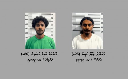 ކުޑަކުދިން ބޭނުންކޮށްގެން މަސްތުވާތަކެތީގެ ވިޔަފާރިކުރި ދެ މީހަކު ވިލިނގިލިން ހައްޔަރުކޮށްފި