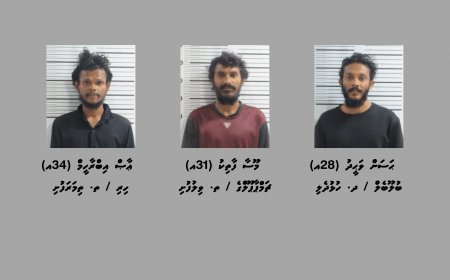 މަސްތުވާތަކެތީގެ މައްސަލައެއްގައި ވިލުފުށިން ތިން މީހަކު ހައްޔަރުކޮށްފި