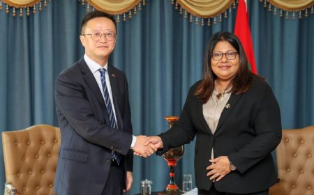 ޗައިނާއިން ރާއްޖޭގެ ޞިއްޙީ އަދި އިޖުތިމާއީ ދާއިރާއަށް އެހީތެރިކަން ފޯރުކޮށްދިނުމާ ގުޅޭގޮތުން މަޝްވަރާކޮށްފި