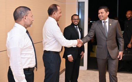 ބަރލިން ކްލައިމެޓް މޮބިލިޓީ ފޯރަމް 2026 ގައި ބައިވެރިވެވަޑައިގަތުމަށް ނައިބު ރައީސް ޖަރުމަނުވިލާތަށް ފުރާވަޑައިގެންފި