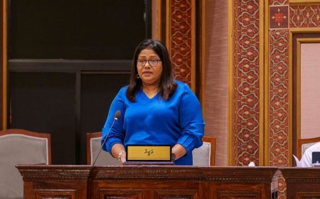 ނަފްސާނީ ބަލިތަކަށް ޚާއްސަ ހޮސްޕިޓަލެއް ހުޅުމާލޭގައި އަޅަނީ