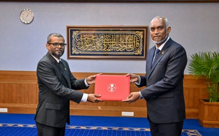 އިީސީގެ މެންބަރުކަމުގެ މަޤާމަށް ޝަކީލު އައްޔަންކޮށްފި