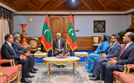 ރައީސުލްޖުމްހޫރިއްޔާ، ސްޓޭޓް އޮފް ޤަތަރަށާއި އެކުވެރި ޢަރަބި އިމާރާތަށް ސަފީރުން ޢައްޔަން ކުރައްވައިފި