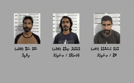 ނައިފަރުގައި ހިންގި އޮޕަރޭޝަނެއްގައި މަސްތުވާތަކެއްޗާއެކު ތިން މީހަކު ހައްޔަރުކޮށްފި