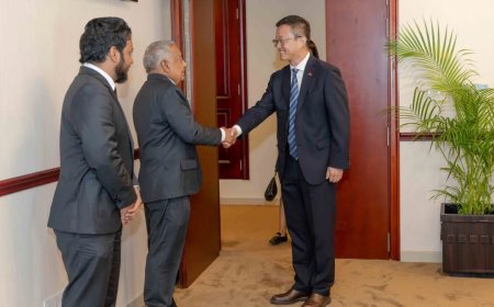 ޗައިނާ ސަފީރު މަޖިލީހުގެ ނައިބު ރައީސްގެ އަރިހަށް އިޙްތިރާމުގެ ޒިޔާރަތެއް ކުރައްވައިފި