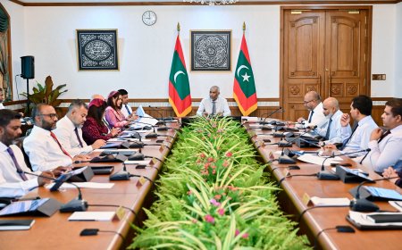 ސަރުކާރުގެ މަޝްރޫޢުތައް އަވަހަށް ނިންމެވުމަށް ޚާއްޞަ ފިޔަވަޅުތަކެއް އެޅުމަށް ވަޒީރުންގެ މަޖިލީހުން ނިންމައިފި