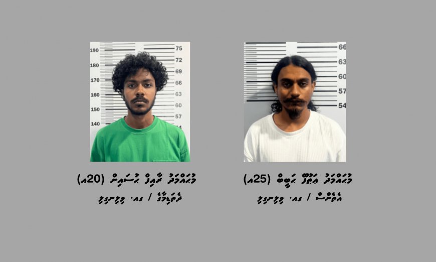 ކުޑަކުދިން ބޭނުންކޮށްގެން މަސްތުވާތަކެތީގެ ވިޔަފާރިކުރި ދެ މީހަކު ވިލިނގިލިން ހައްޔަރުކޮށްފި