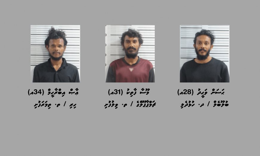މަސްތުވާތަކެތީގެ މައްސަލައެއްގައި ވިލުފުށިން ތިން މީހަކު ހައްޔަރުކޮށްފި