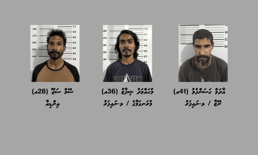 ނައިފަރުގައި ހިންގި އޮޕަރޭޝަނެއްގައި މަސްތުވާތަކެއްޗާއެކު ތިން މީހަކު ހައްޔަރުކޮށްފި