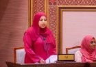 މިނިވަން ދުވަހުގެ ޙަރަކާތްތަކަށް 4.1 މިލިއަން ރުފިޔާ ޚަރަދުވި: ހީނާ