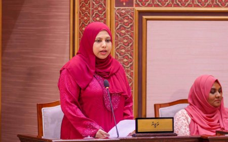 މިނިވަން ދުވަހުގެ ޙަރަކާތްތަކަށް 4.1 މިލިއަން ރުފިޔާ ޚަރަދުވި: ހީނާ