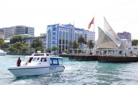 ސްނޯކްލިންގަށް ގޮސް އުޅެނިކޮށް އޮޔާދިޔަ ފަތުރުވެރިއަކު ފުލުހުން ސަލާމަތްކޮށްފި