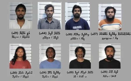 އެއާޕޯޓުން ބީއެމްއެލްގެ ގިނަ އަދަދެއްގެ ފައިސާ ފޭރުނު މައްސަލައިގެ ޝަރީއަތް ފަށައިފި