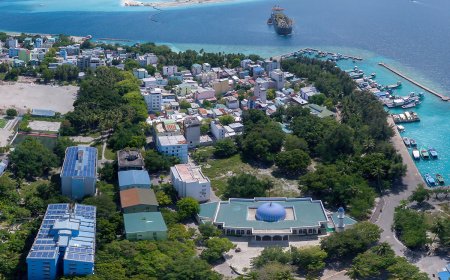 ވިލިމާލޭގައި ދެ ގްރޫޕެއްގެ މެދުގައި މާރާމާރީއެއް ހިންގައި 4 މީހަކަށް އަނިޔާވެއްޖެ