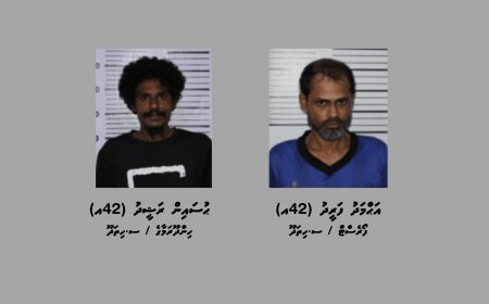 ފޭދޫ ފިހާރައަކުން ވަގަށް ނެގި ތަކެތި ހޯދައި ދެ މީހަކު ހައްޔަރުކޮށްފި