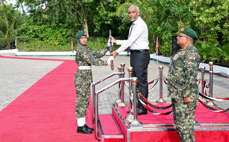 ސިފައިންގެ 72 އަދި 73 ވަނަ އަސާސީ ތަމްރީނު ކޯހުގެ ދަރިވަރުން ހުވާކޮށް، ބަޑި ހަވާލުކޮށްފި