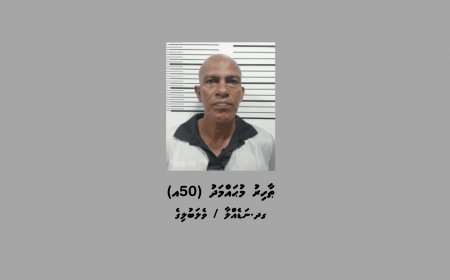 ހުޅުމާލެ ފޭސް 2 އިން ފޯނު ކޭބަލްތަކެއް ބުރިކޮށްގެން ވައްކަން ކުރަން އުޅުނު މީހަކު ހައްޔަރުކޮށްފި