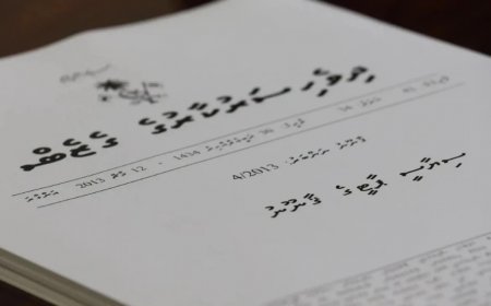 އަހަރީ އޮޑިޓް ރިޕޯޓް ހުށަނާޅާ ސިޔާސީ ޕާޓީތައް އިލެކްޝަންސް ކޮމިޝަނުން ޖޫރިމަނާކޮށްފި