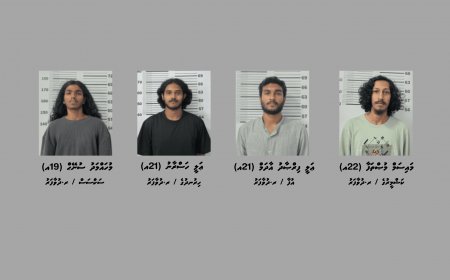 މަސްތުވާތަކެއްޗާއެކު ދުވާފަރުން ހަތަރު މީހަކު ހައްޔަރުކޮށްފި