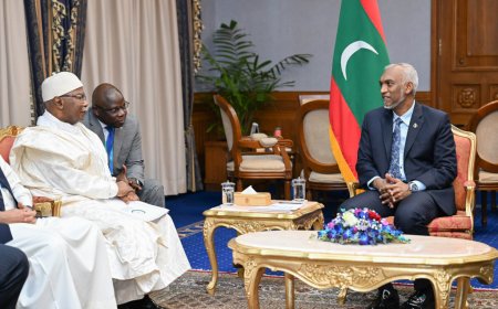 އޯ.އައި.ސީގެ މެންބަރަކަށް ދިވެހިރާއްޖެ ވީތާ 50 އަހަރު ފުރުން ފާހަގަކޮށްފި