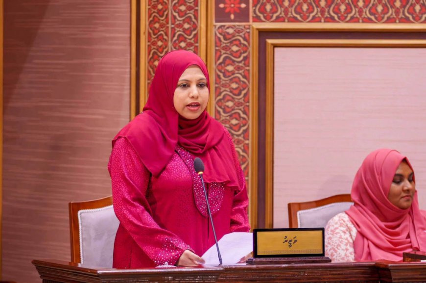 މިނިވަން ދުވަހުގެ ޙަރަކާތްތަކަށް 4.1 މިލިއަން ރުފިޔާ ޚަރަދުވި: ހީނާ