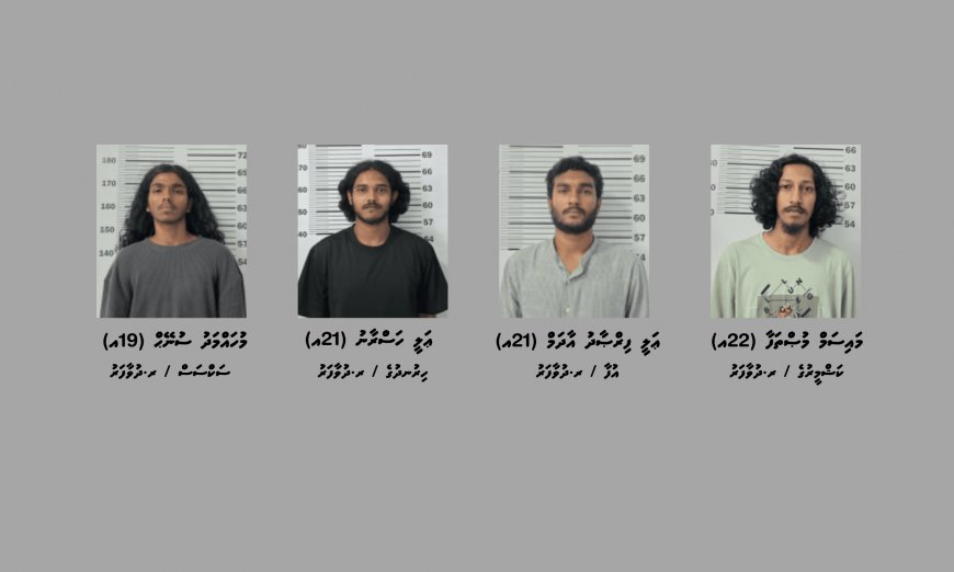 މަސްތުވާތަކެއްޗާއެކު ދުވާފަރުން ހަތަރު މީހަކު ހައްޔަރުކޮށްފި