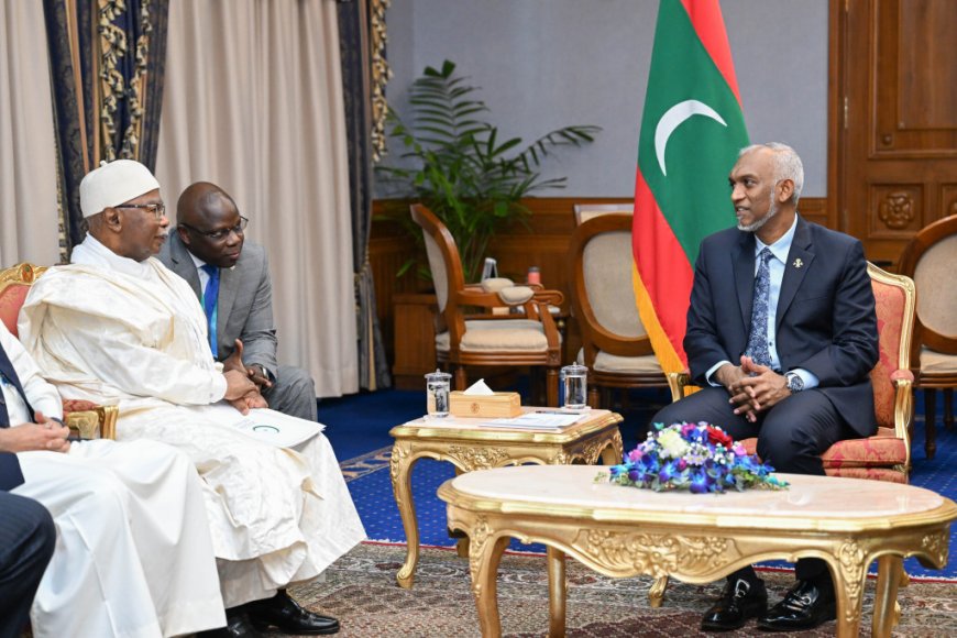 އޯ.އައި.ސީގެ މެންބަރަކަށް ދިވެހިރާއްޖެ ވީތާ 50 އަހަރު ފުރުން ފާހަގަކޮށްފި