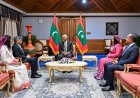 SAARC Secretary-General pays farewell call on the President