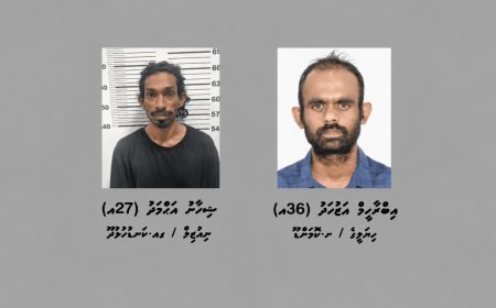 ޓެރަރިޒަމްގެ މައްސަލައެއްގެ ތަހުގީގަށް ދެ މީހަކު ހޯދުމަށް ފުލުހުން އިއުލާންކޮށްފި
