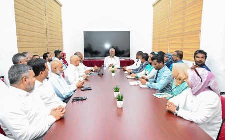 އަރިއަތޮޅު އުތުރުބުރީ އުކުޅަހުގެ ތަރައްޤީގެ އެންމެ ފަހުގެ މައުލޫމާތު ހޯދުމަށް، ރައީސުލްޖުމްހޫރިއްޔާ  އެރަށުގެ ބައެއް މުއައްސަސާތަކާއި ބައްދަލުކުރައްވައިފި