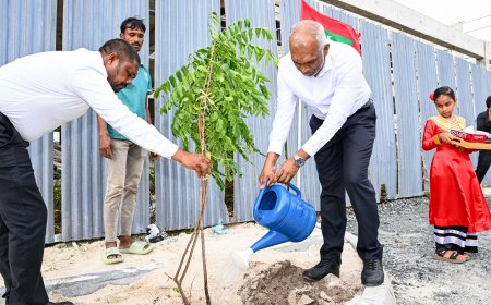 5 މިލިއަން ގަސް އިންދުމުގެ ޕްރޮގްރާމްގެ ދަށުން އއ. އުކުޅަހުގެ ގަސް އިންދުމުގެ ހަރަކާތުގައި ރައީސުލްޖުމްހޫރިއްޔާގެ ދެކަނބަލުން ބައިވެރިވެވަޑައިގެންފި