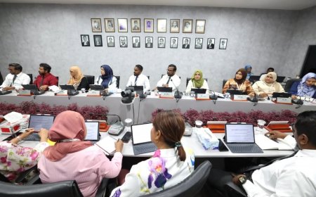 މާލޭގެ ވެޓް މާކެޓް ތަރައްގީކުރުމަށް ބިން ފިޝަރީޒް މިނިސްޓްރީއާ ހަވާލުކުރަން ސިޓީ ކައުންސިލުން ފާސްކޮށްފި